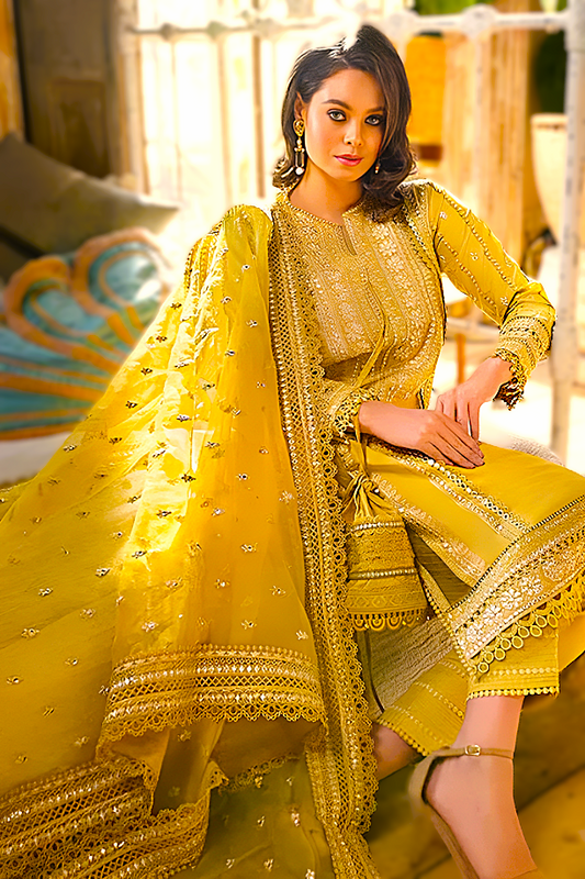 Linen 3PC Embroidered with Organza Dupatta-583